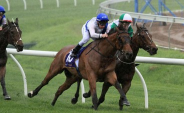 Lee Steere Stakes Day in Review